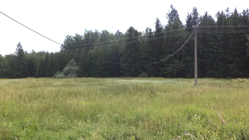 Prodej pozemku, Chodský Újezd - Nahý Újezdec, 13137 m2