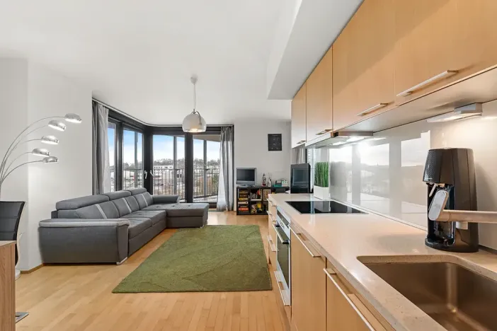 Prodej bytu 2+kk, Praha - Žižkov, Pitterova, 83 m2