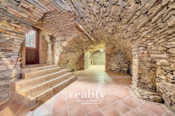 Pronájem obchodního prostoru, Znojmo, Horní Česká, 168 m2