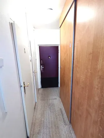 Prodej bytu 1+kk, Praha - Záběhlice, Narcisová, 25 m2