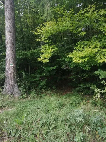 Prodej pozemku pro bydlení, Hradištko, Na Vrcholu, 1486 m2