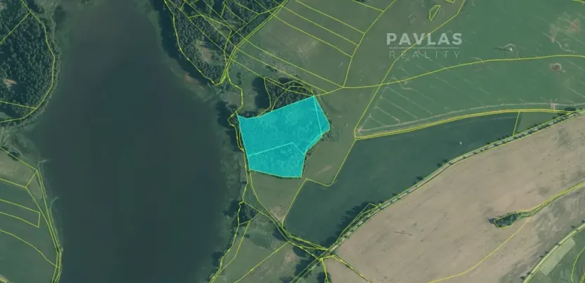 Prodej lesa, Jindřichův Hradec, 32504 m2