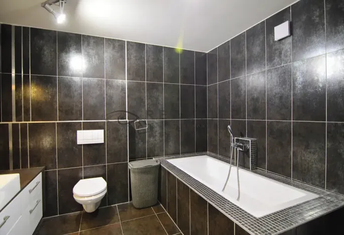 Pronájem bytu 3+kk, České Budějovice, Plachého, 90 m2