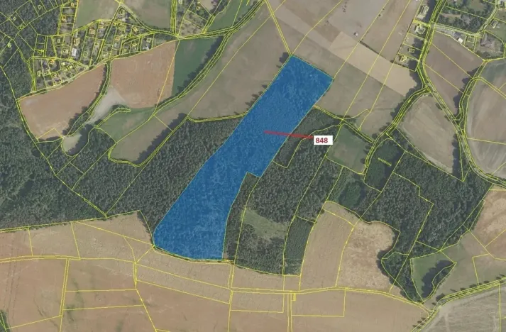 Dražba lesa, Nové Dvory, 81658 m2