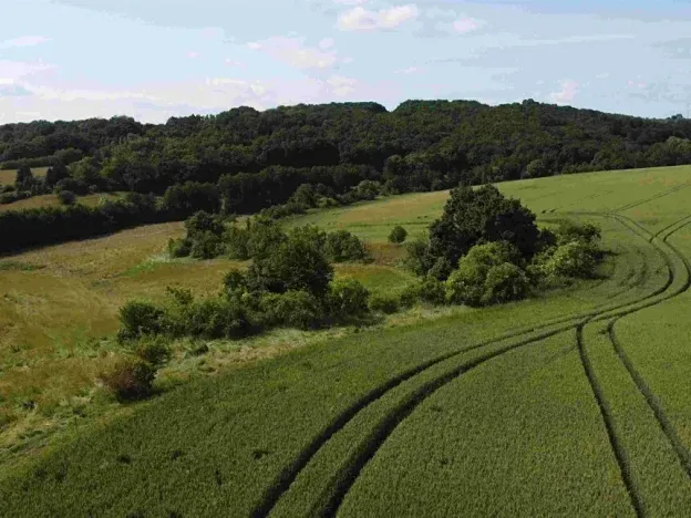 Dražba pole, Dobrkovice, 30944 m2