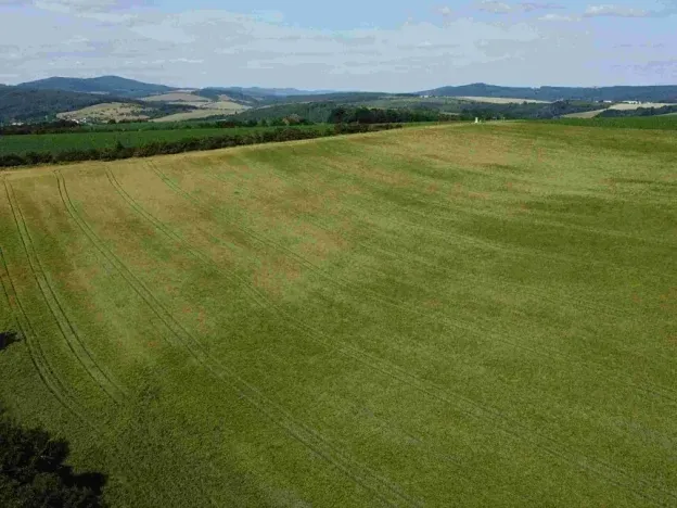 Dražba pole, Dobrkovice, 30944 m2