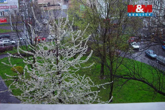 Pronájem bytu 2+1, Teplice, Školní, 87 m2