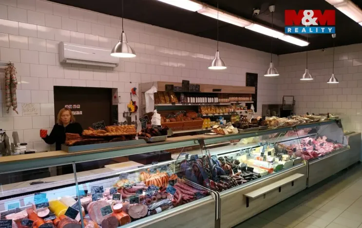 Pronájem obchodního prostoru, Černošice, Vrážská, 245 m2