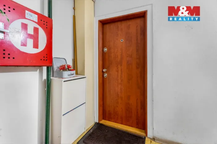 Prodej bytu 3+1, Kosmonosy, U masokombinátu, 65 m2