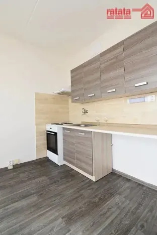 Pronájem bytu 1+1, Chomutov, Borová, 36 m2