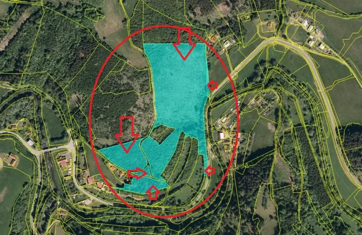 Prodej lesa, Malá Bystřice, 54751 m2
