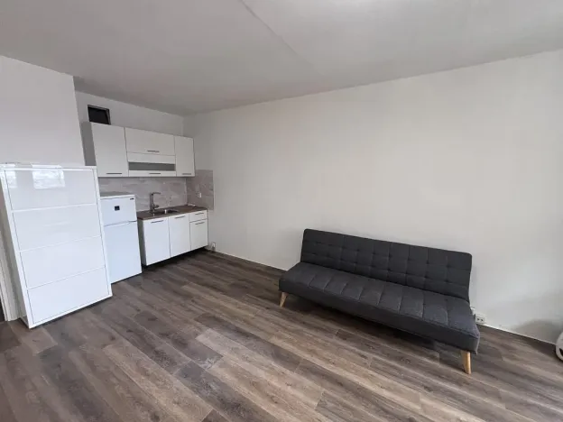 Pronájem bytu 1+kk, Ostrava - Moravská Ostrava, U Parku, 25 m2