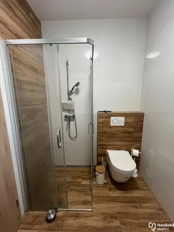 Pronájem bytu 1+kk, Olomouc, Andělská, 40 m2