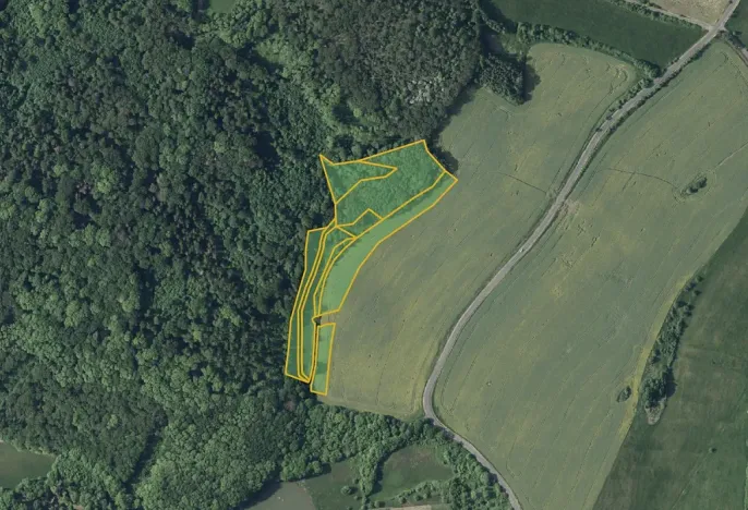 Prodej louky, Kostomlaty pod Milešovkou, 28333 m2