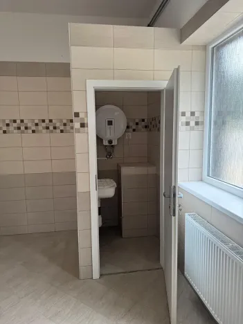 Pronájem skladu, Ostrov, 200 m2