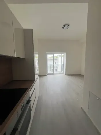 Pronájem bytu 1+kk, Lomnice, Dlouhá, 32 m2