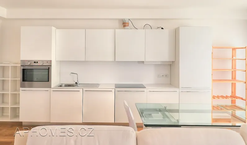 Pronájem bytu 3+kk, Praha - Vinohrady, Mánesova, 106 m2