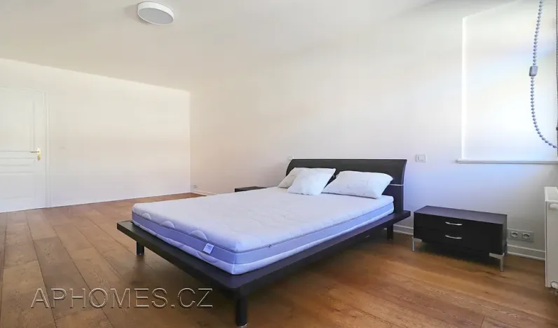 Pronájem bytu 3+kk, Praha - Vinohrady, Mánesova, 106 m2