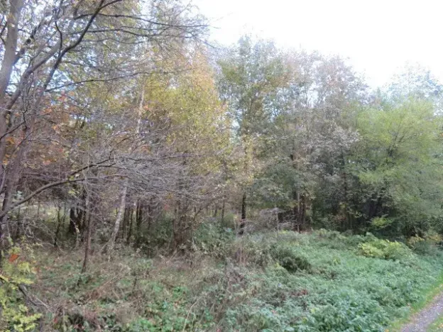 Dražba pole, Jiříkov, 2813 m2