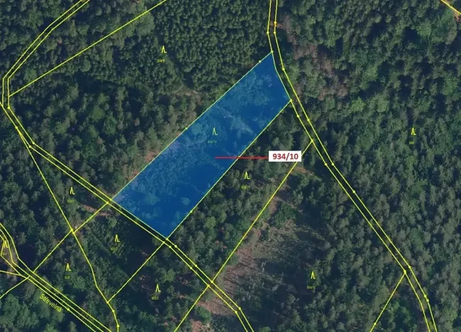 Dražba lesa, Jílové u Držkova, 4305 m2