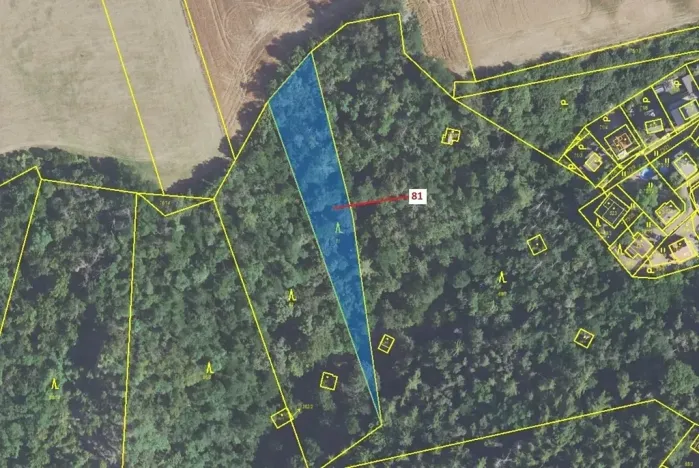 Dražba lesa, Sýkořice, 1816 m2