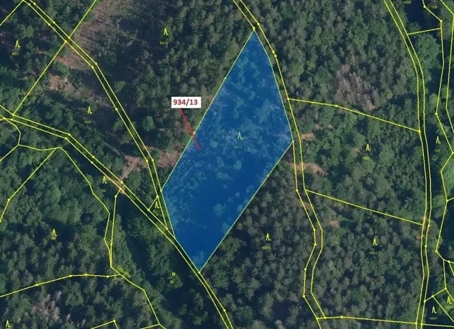 Dražba lesa, Jílové u Držkova, 6213 m2