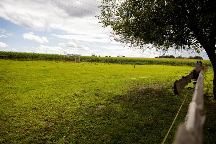 Prodej rodinného domu, Litíč, 60 m2