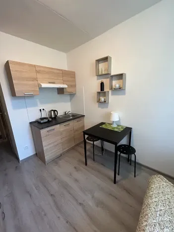 Pronájem bytu 1+kk, Kladno, Hřebečská, 18 m2