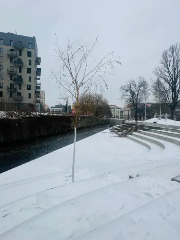 Pronájem bytu 2+kk, Liberec - Liberec III-Jeřáb, U Nisy, 65 m2