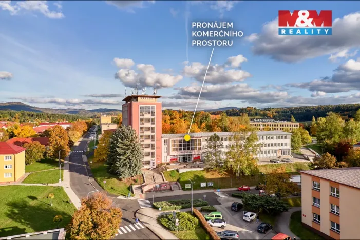 Pronájem obchodního prostoru, Ostrov, Lidická, 120 m2