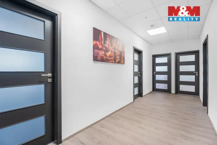 Pronájem kanceláře, Ústí nad Labem, Havířská, 157 m2