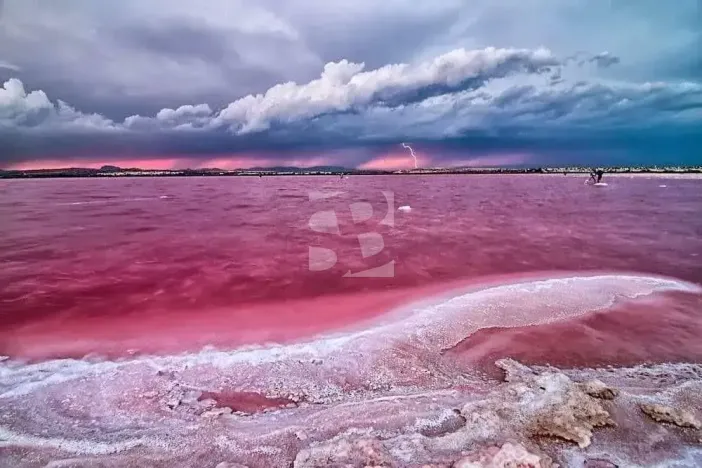 Prodej bytu 3+kk, San Miguel de Salinas, Španělsko, 73 m2