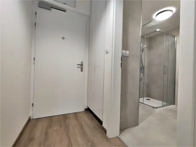 Pronájem bytu 1+kk, Brno, Placzkova, 27 m2