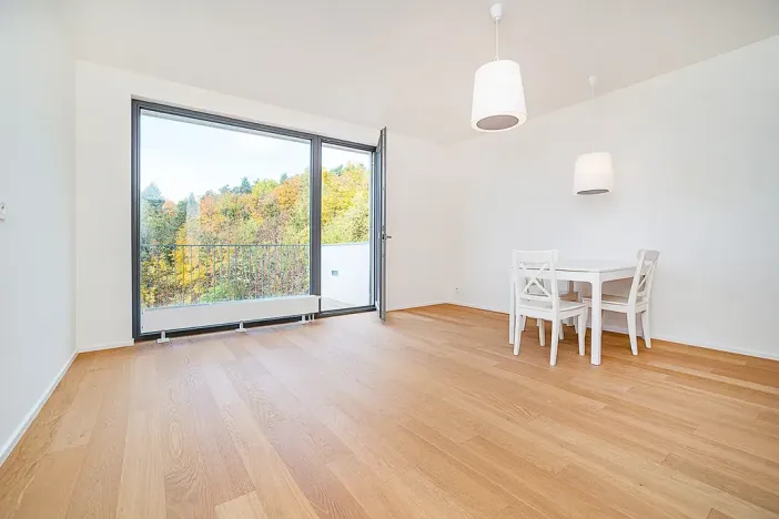 Pronájem bytu 2+kk, Praha - Libeň, Nad Bání, 54 m2