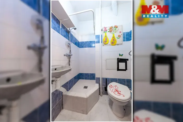 Prodej bytu 1+kk, Cheb, Hradební, 23 m2