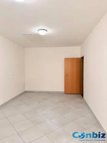 Pronájem bytu 1+kk, Praha - Žižkov, Seifertova, 21 m2