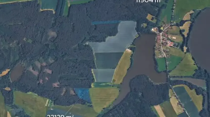 Prodej podílu lesa, Olešnice, 303 m2