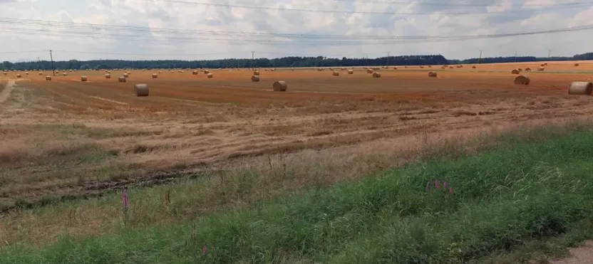 Prodej pole, Dříteň, 131617 m2