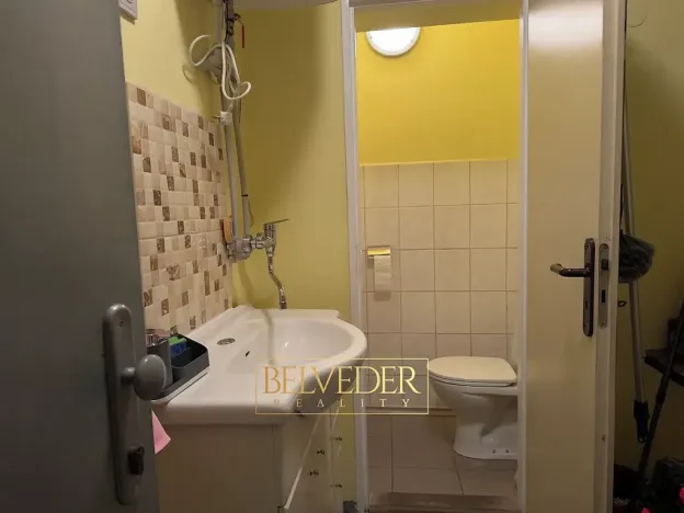 Pronájem obchodního prostoru, Teplice, Masarykova třída, 50 m2