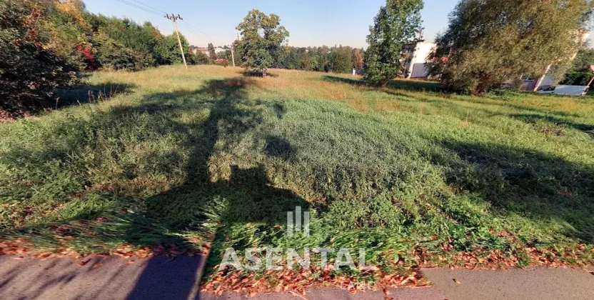 Prodej pozemku, Petřvald, Podlesní, 8672 m2
