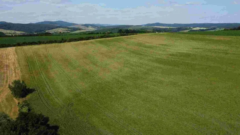 Prodej pozemku, Dobrkovice, 30313 m2