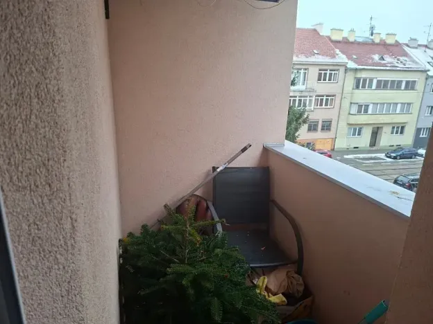 Prodej bytu 2+1, Brno, Purkyňova, 60 m2