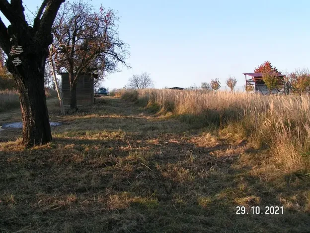 Prodej pozemku pro bydlení, Nížkovice, 996 m2