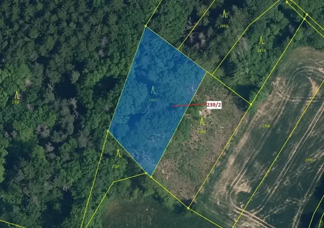 Dražba lesa, Jenišovice, 2305 m2