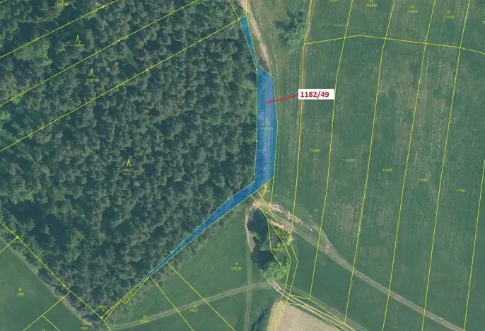 Dražba lesa, Přeborov, 1165 m2