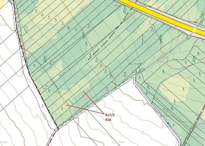 Dražba lesa, Netřebice, 3965 m2