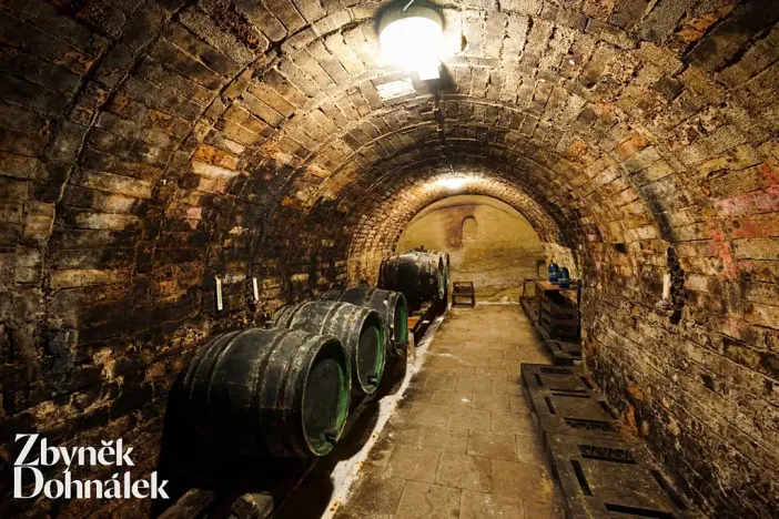 Prodej vinného sklepa, Hovorany, 69 m2