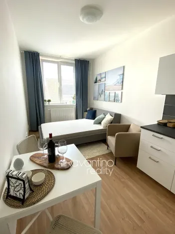 Pronájem bytu 1+kk, Brno, Nováčkova, 23 m2