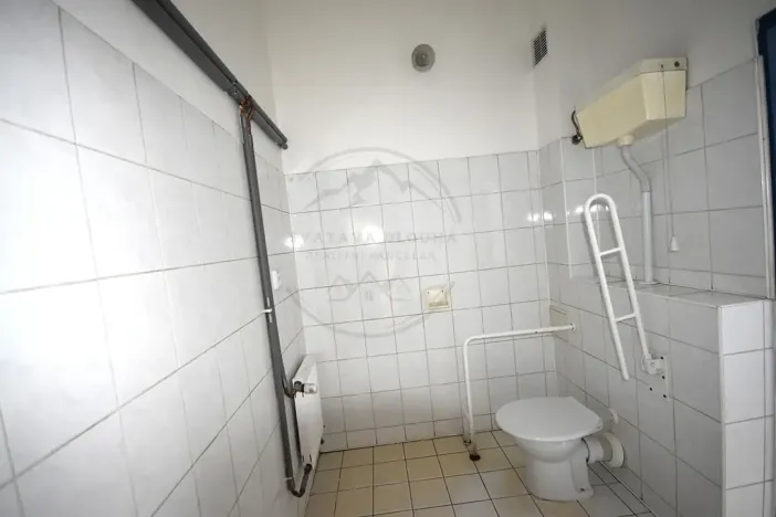 Pronájem výrobních prostor, Česká Ves, Jesenická, 356 m2