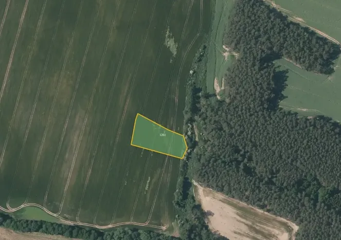 Prodej pole, Mladotice, 15472 m2